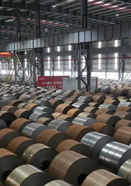 رولات صفائح الفولاذ 